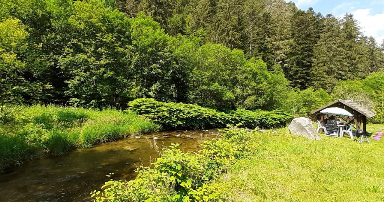 La Perle Au Bord De La Riviere Apartman Gérardmer Kültér fotó
