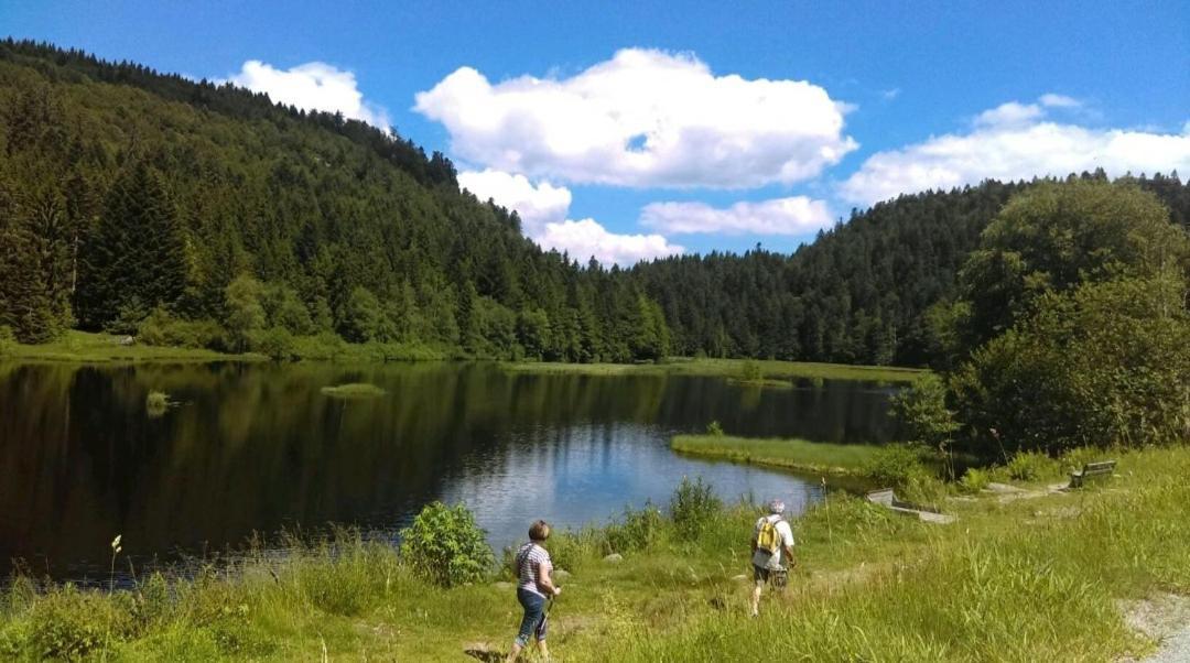 La Perle Au Bord De La Riviere Apartman Gérardmer Kültér fotó