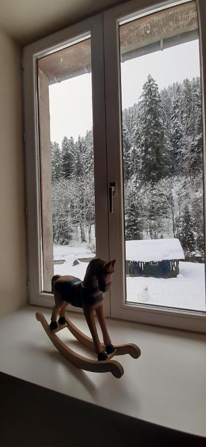 La Perle Au Bord De La Riviere Apartman Gérardmer Kültér fotó